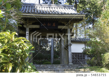 [静岡県]　龍潭寺　春期 54653755