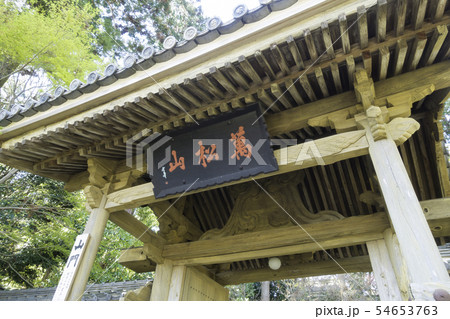 [静岡県]　龍潭寺　春期 54653763