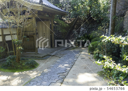 [静岡県]　龍潭寺　春期 54653766