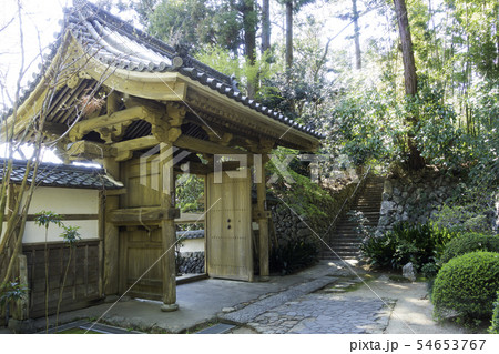 [静岡県]　龍潭寺　春期 54653767