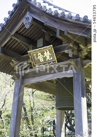 [静岡県]　龍潭寺　春期 54653795