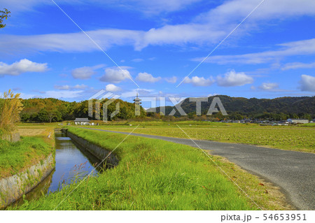 国分寺への道 国分寺への道 54653951