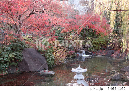 さくら坂公園の紅葉(東京 六本木) さくら坂公園の紅葉(東京 六本木) 54654162
