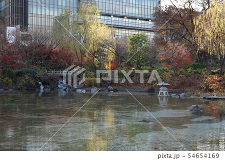 さくら坂公園の紅葉(東京 六本木) さくら坂公園の紅葉(東京 六本木) 54654169