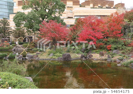 毛利庭園の紅葉 東京 六本木 の写真素材