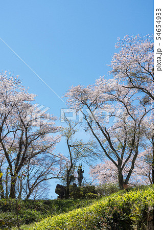 山城　月山富田城　春　山中鹿之介の後ろ姿 54654933
