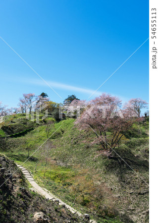 山城　月山富田城　春　 54655113