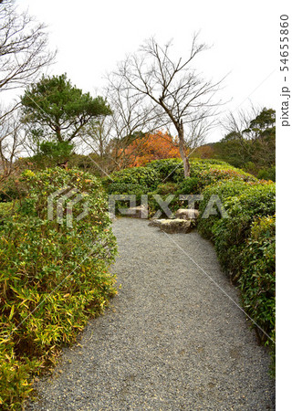 冬の大河内山荘の風景 54655860