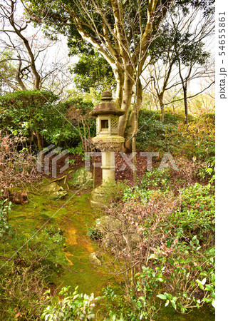 冬の大河内山荘の風景 冬の大河内山荘の風景 54655861