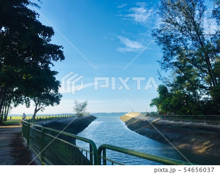 海 海 54656037