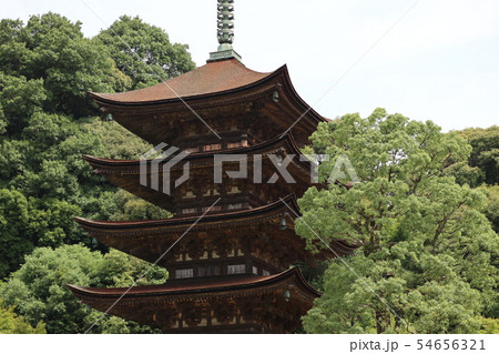山口瑠璃光寺 54656321