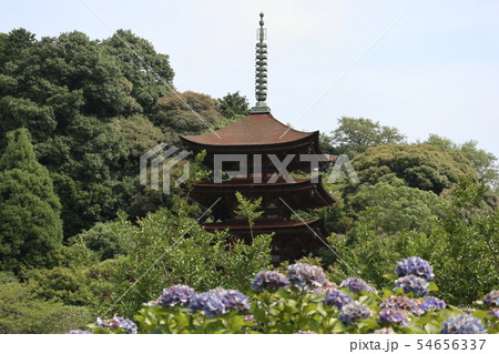 山口瑠璃光寺 山口瑠璃光寺 54656337