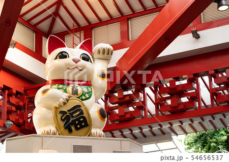大須商店街：招き猫 54656537