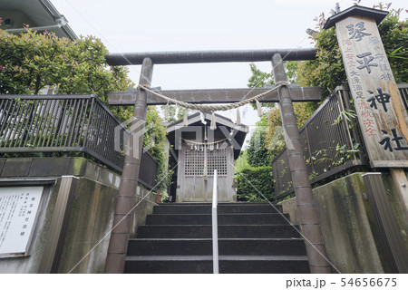 和田山琴平神社(横浜市中区和田山) 和田山琴平神社(横浜市中区和田山) 54656675