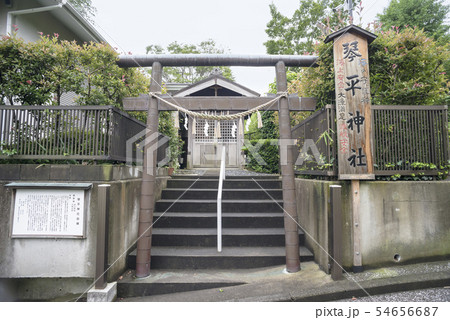 和田山琴平神社(横浜市中区和田山) 和田山琴平神社(横浜市中区和田山) 54656687