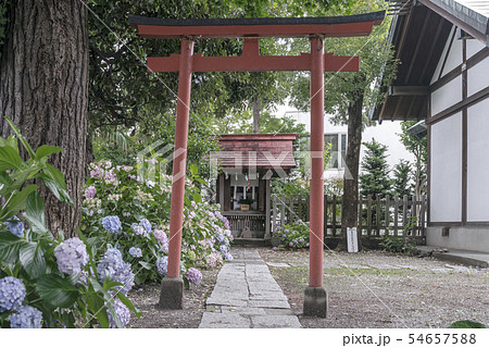 吾妻神社の稲荷神社（横浜市中区本牧原） 54657588
