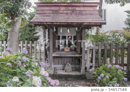 吾妻神社の稲荷神社（横浜市中区本牧原） 54657589