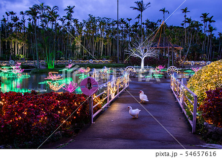沖縄 冬の東南植物楽園 水上楽園の池 イルミネーションの写真素材