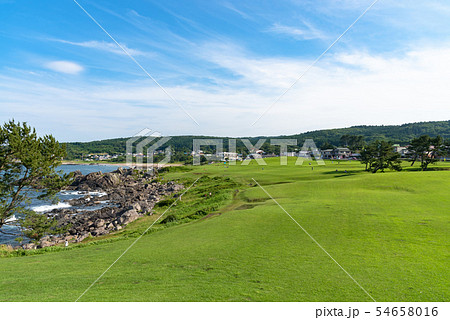 種差海岸　初夏　朝　青森県　八戸市　日本 54658016