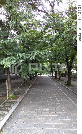 祇園白川 54658103