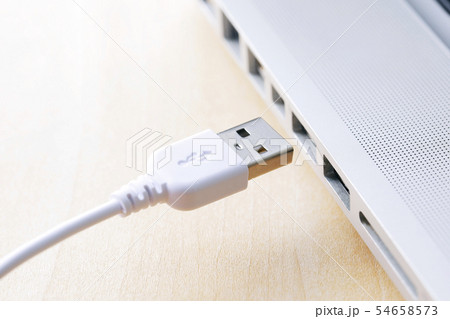 USBケーブル 54658573