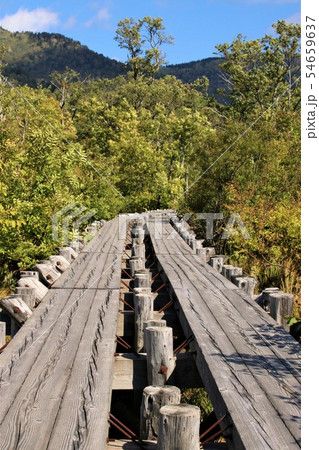 尾瀬の遊歩道 尾瀬の遊歩道 54659637