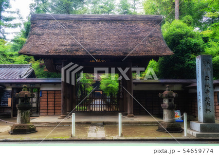 埼玉　初夏の平林寺（総門） 54659774