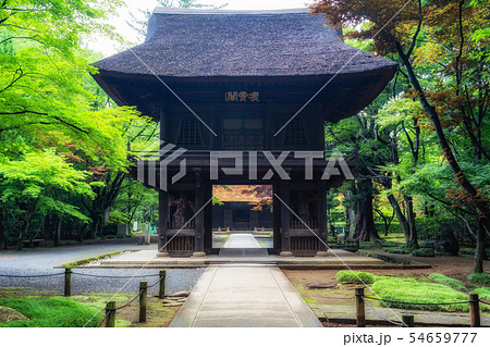 埼玉　初夏の平林寺（山門） 54659777