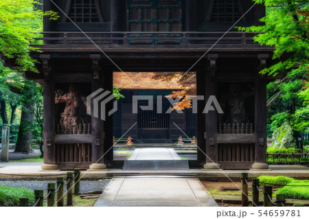 埼玉　初夏の平林寺（山門） 54659781