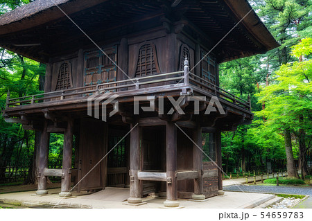 埼玉　初夏の平林寺（山門） 54659783