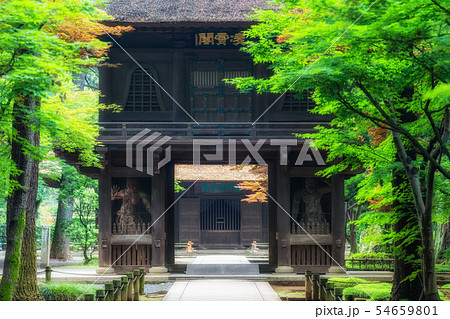 埼玉　初夏の平林寺（山門） 54659801