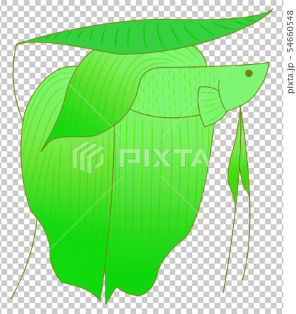 Resting solid (green) 54660548