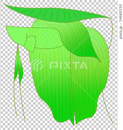 Resting solid (green, no expression) 54660550