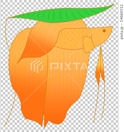 Resting solid (orange) Resting solid (orange) 54660552