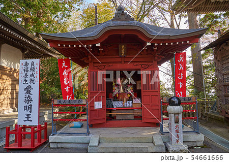 東京 八王子市 秋の高尾山薬王院 愛染明王(あいぜんみょうおう) 54661666