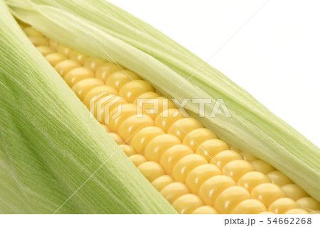 トウモロコシ 54662268