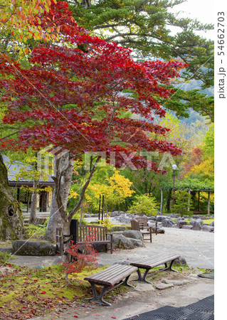 新穂高ロープウェイ 鍋平高原の紅葉 新穂高ロープウェイ 鍋平高原の紅葉 54662703