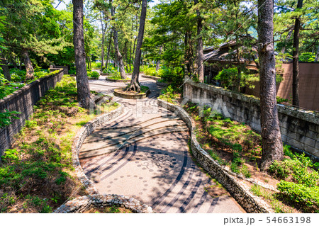 （静岡県）沼津御用邸　記念公園　散策路 54663198