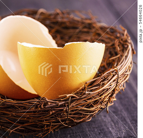 The broken egg shells in the nest on the old The broken egg shells in the nest on the old 54664026