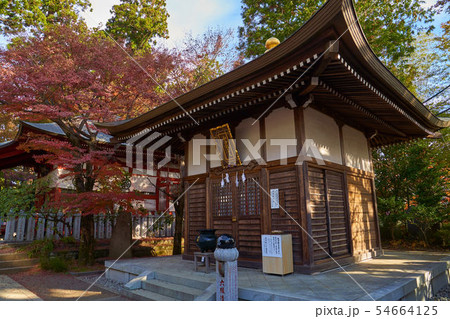 東京 八王子市 秋の高尾山薬王院 和合歓喜天 54664125