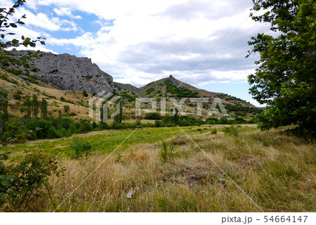 Carpathian rocky mounds with rare planting of bush Carpathian rocky mounds with rare planting of bush 54664147