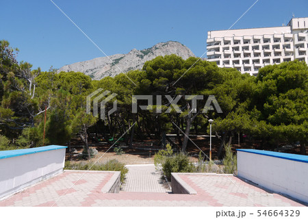 Steps leading down to a grove of green trees growi Steps leading down to a grove of green trees growi 54664329