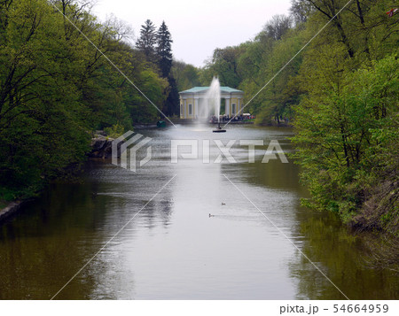 the water surface of the pond with a fountain in t the water surface of the pond with a fountain in t 54664959