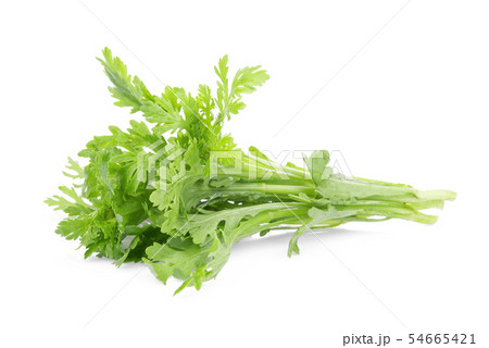 garland chrysanthemum vegetable isolated on white garland chrysanthemum vegetable isolated on white 54665421