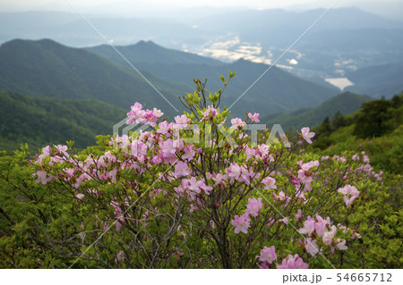 韓国 風景 空 54665712