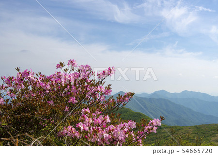 韓国 風景 空 54665720