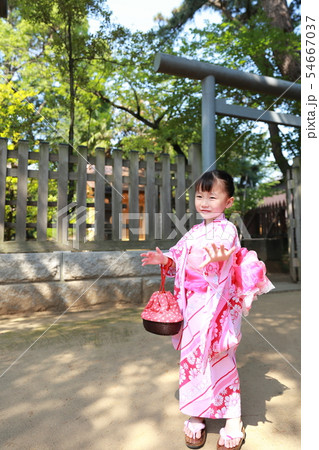 浴衣 (夏祭り 盆踊り イベント 行事 伝統 和服 園児 女児 文化 育児 子育て 子供 着物 寺) 54667037