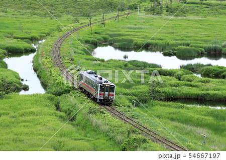 夏の別寒辺牛湿原を行く花咲線 夏の別寒辺牛湿原を行く花咲線 54667197