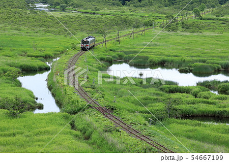 夏の別寒辺牛湿原を行く花咲線 夏の別寒辺牛湿原を行く花咲線 54667199