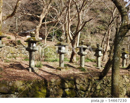 談山神社 54667230